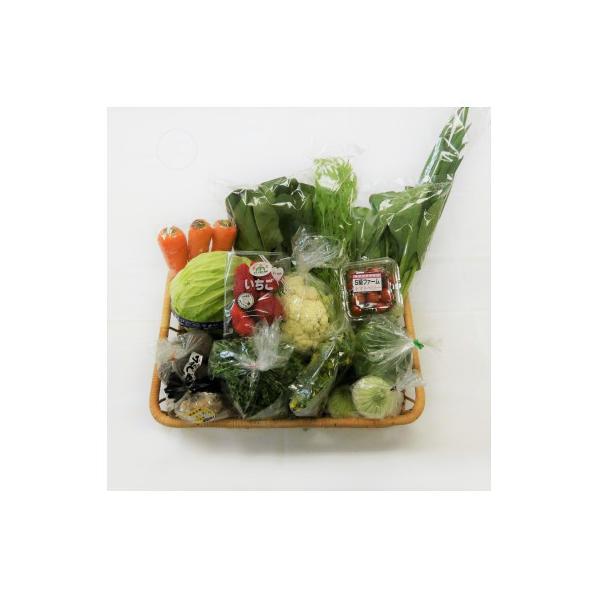 三重県いなべ市の農産物直売所「ふれあいの駅うりぼう」より「旬の新鮮野菜・果物セット」をお届けします!
