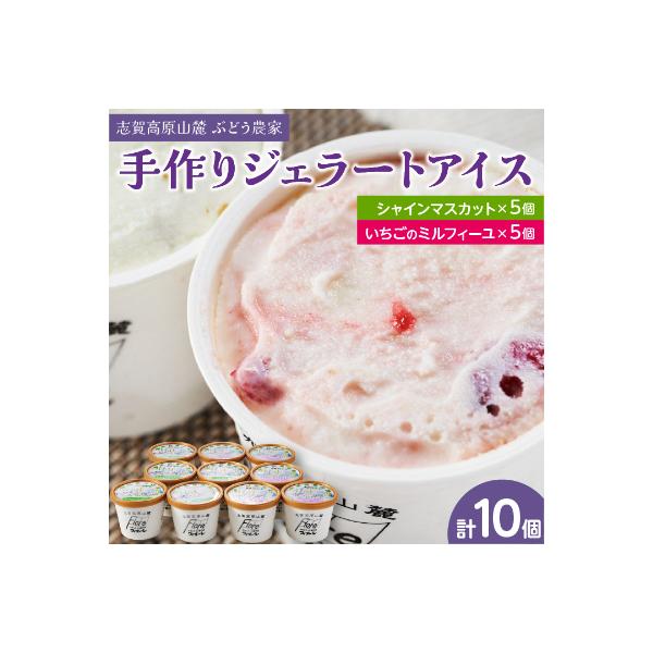 信州なかの　手作りジェラート2種セット(10個入り)