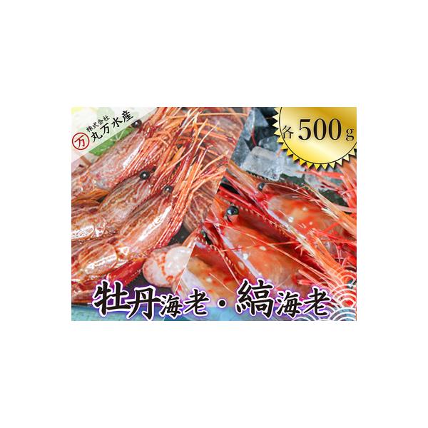 ボタンエビ500g・シマエビ500gセット