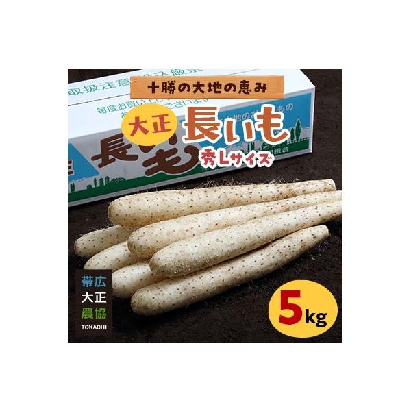 大正長いも5kg