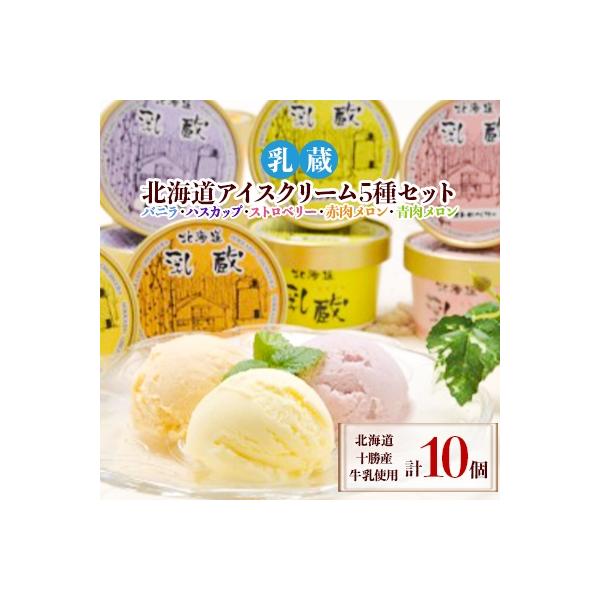 乳蔵北海道アイスクリーム5種セット(計10個)(110130)