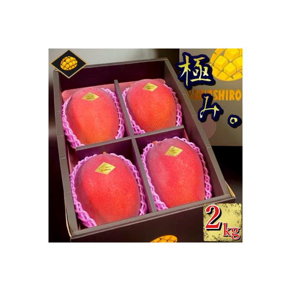 ■お礼品詳細　・配送種別：冷蔵便　・提供元：山城マンゴー屋■お申し込み・配送・その他　・発送時期：2026-06-25〜2026-07-31　※生産・天候・交通等の事情により発送が前後する場合があります。(お届け時間帯指定可)　・申込受付期...