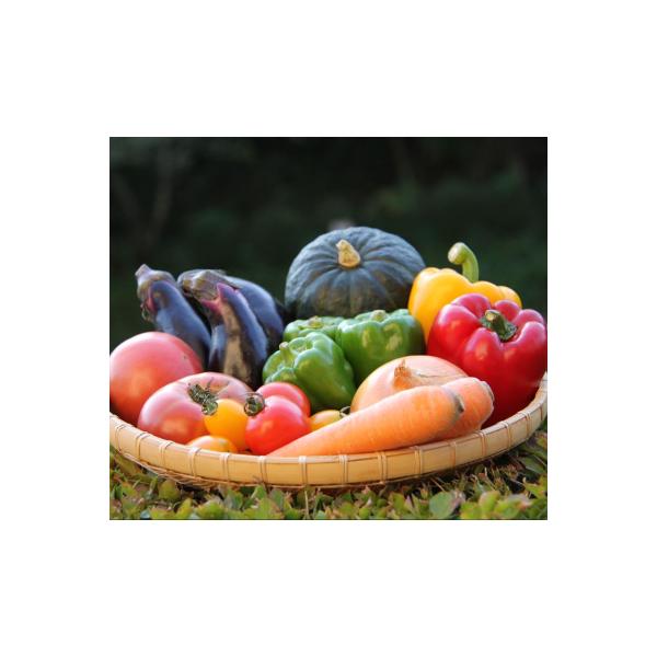 季節の野菜セット(10～15種)
