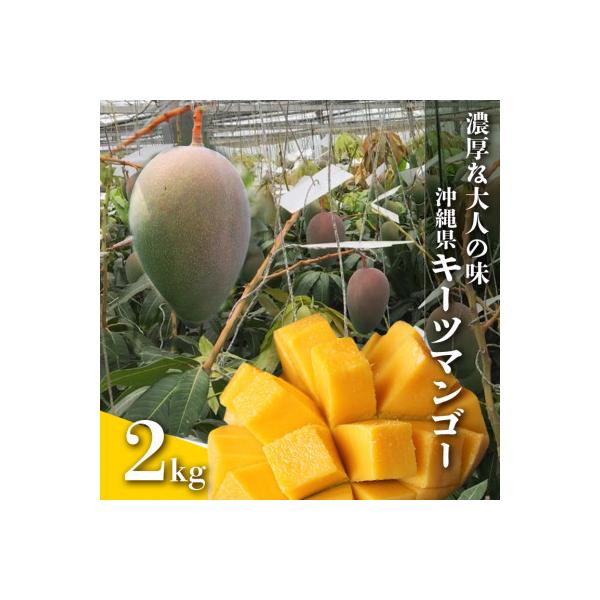 【2026年発送】沖縄から直送!かしみ園の「濃厚キーツマンゴー」2kg