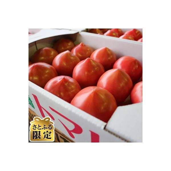 【さとふる限定】茨城県銘柄産地指定「龍ケ崎トマト」(約4kg・18玉～20玉)