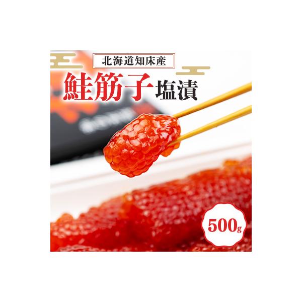 【北海道知床産】鮭筋子(塩漬) 500g