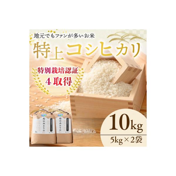 令和7年産　特別栽培米コシヒカリ10kg(5kg×2袋)　福井県小浜市「松のみどりの」