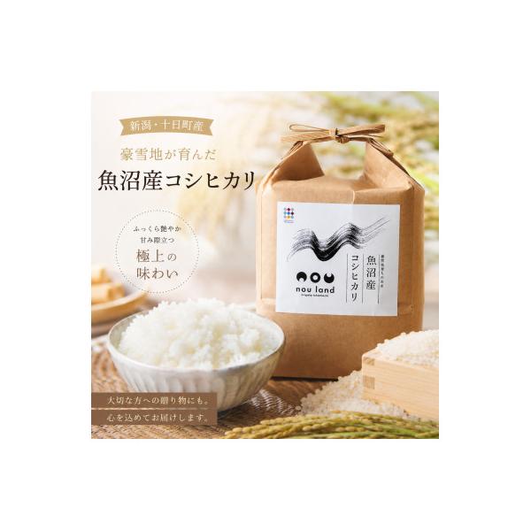 【令和7年産】　魚沼産コシヒカリ2kg