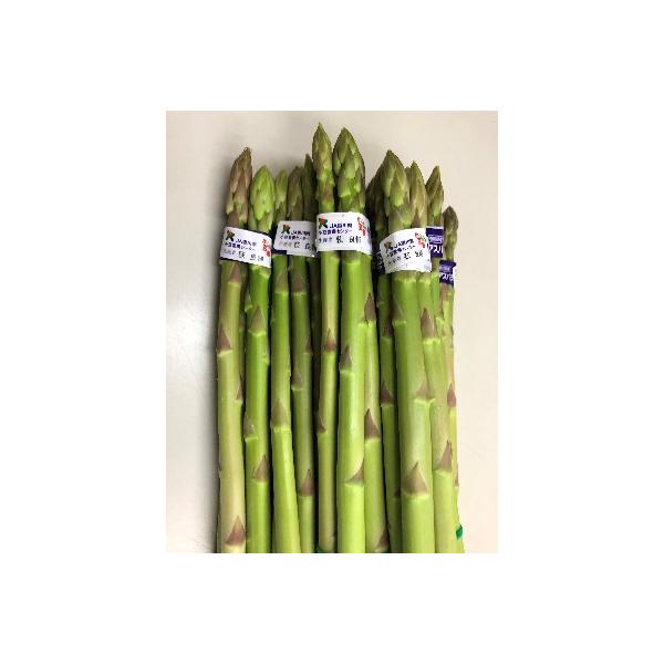 ■お礼品詳細　・配送種別：冷蔵便　・提供元：（株）五色青果（土庄町）■お申し込み・配送・その他　・発送時期：2026-06-22〜2026-10-17　・申込受付期間：〜2026-09-20　・配達外のエリア：離島、北海道、沖縄県　・寄付証...