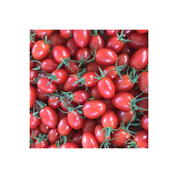 ■お礼品詳細　・配送種別：通常　・提供元：大家ファーム■お申し込み・配送・その他　・発送時期：2025-11-25〜2026-07-05(お届け時間帯指定可)　・申込受付期間：2025-11-10〜2026-07-01　・配達外のエリア：　...