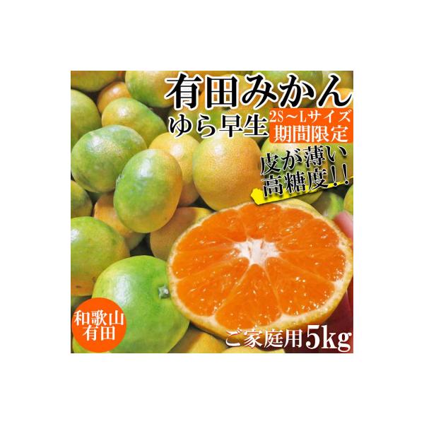 有田みかん 約5kg ご家庭用 和歌山 ゆら早生 極早生 (SS、S、M、Lサイズ)【湯浅町】