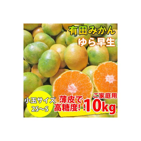 有田みかん 約10kg ご家庭用 和歌山 ゆら早生 極早生 (SS、Sサイズ)【湯浅町】