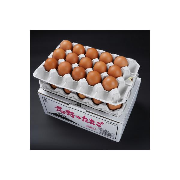 ふるさと納税 忍野村 富士山の恵”忍野のたまご”‐コクの赤玉‐30個入