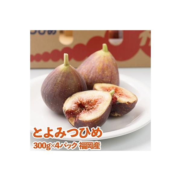 ふるさと納税 【2023年8月下旬発送開始】JAふくおか嘉穂 ふるさと納税 【2023年8月下旬発送開始】JAふくおか嘉穂