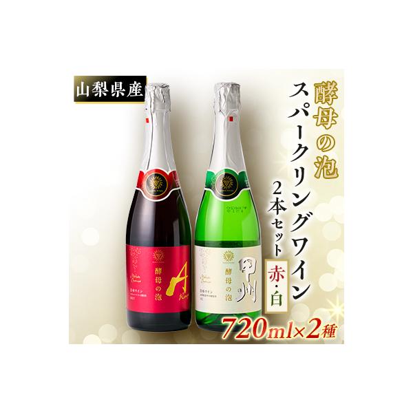 山梨県産ベーリーA種と甲州種から造った辛口スパークリングワイン2本セット【マンズワイン】