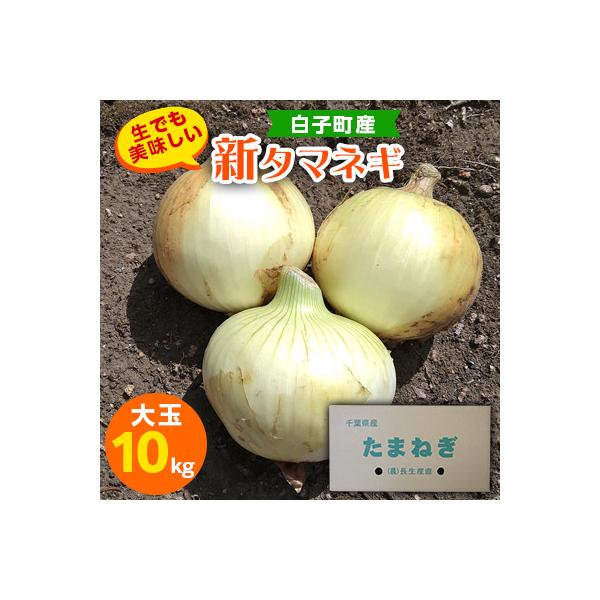 ■お礼品詳細　・配送種別：通常　・提供元：長生産直■お申し込み・配送・その他　・発送時期：2026-05-12〜2026-06-07(お届け時間帯指定可)　・申込受付期間：〜2026-04-30　・配達外のエリア：離島、沖縄県　・寄付証明書...