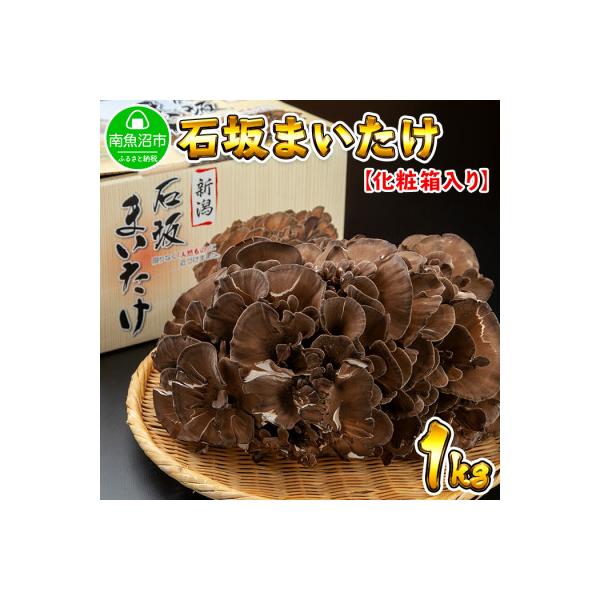 新潟県 南魚沼産 厳選 国産 高級 産地直送 石坂 まいたけ 1kg