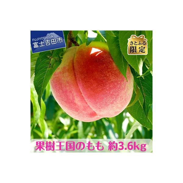 【さとふる限定】果樹王国 やまなし の桃 約3.6kg(8～14玉)