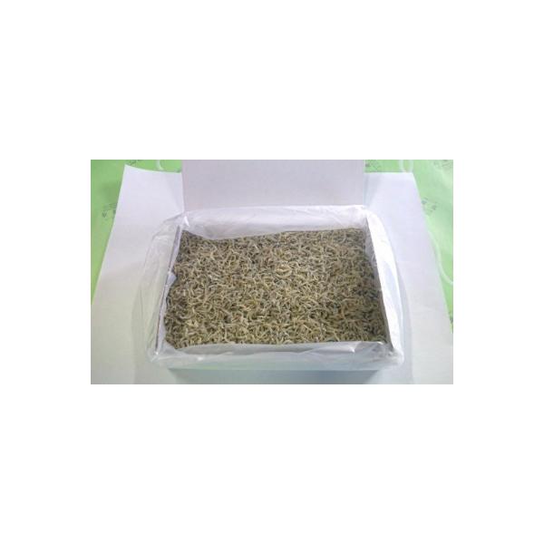上干ちりめん　1kg