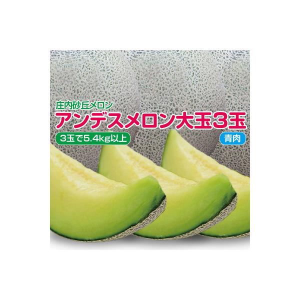 庄内砂丘メロン　アンデスメロン(青肉)大玉3玉(1玉1.8kg以上)　つるなし　化粧箱入