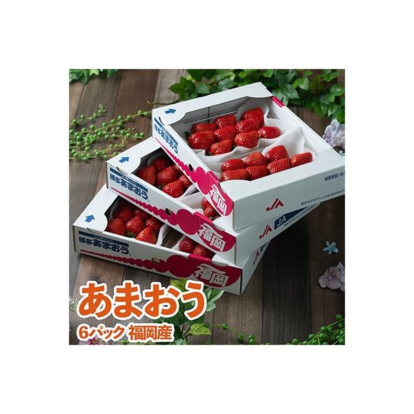 【12月上旬より順次発送】酸味と甘みの絶妙なバランス・冬あまおう6パック(大牟田市)