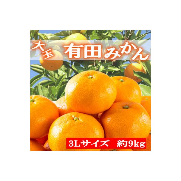 【食べごたえ十分】和歌山有田みかん大玉約9kg(3Lサイズ・秀品)【上富田町】