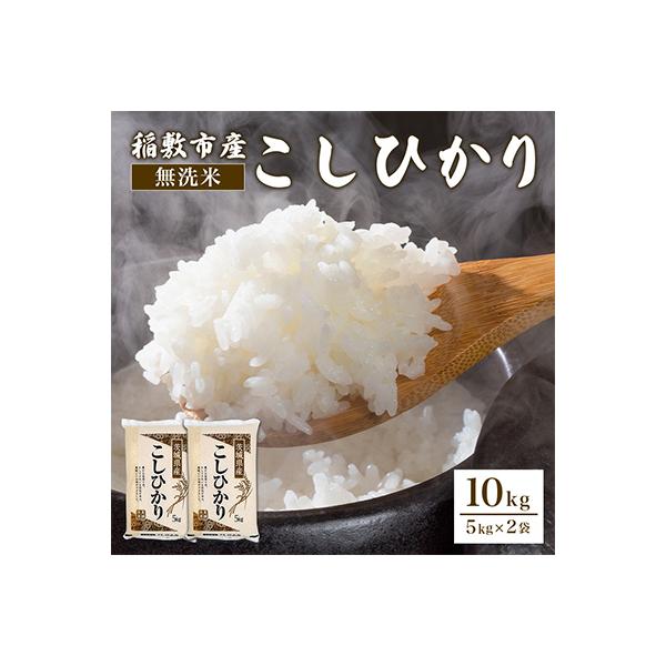ふるさと納税 稲敷市 【令和7年産】稲敷市産「コシヒカリ」無洗米10kg