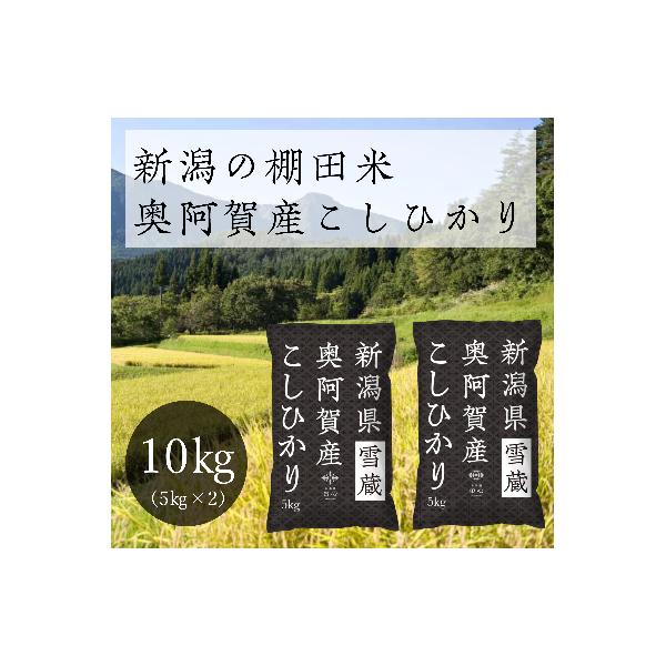 【令和8年産先行受付・2026年10月13日以降発送】新潟県奥阿賀産こしひかり10kg(5kg×2)