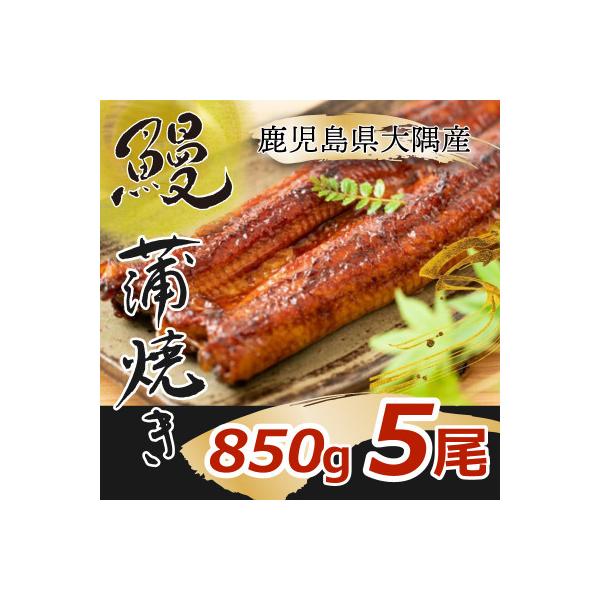 大隅特産うなぎ蒲焼5尾(850g)1389