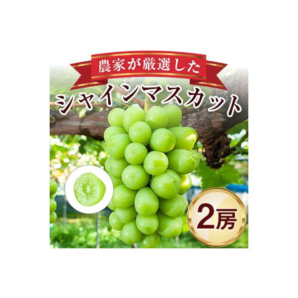 農家が厳選したシャインマスカット2房詰め合わせ