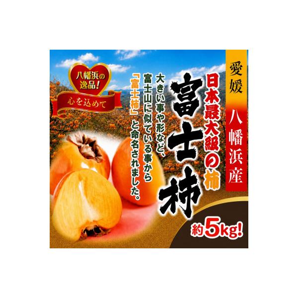 甘さにニッコリ日本最大級の柿「富士柿」約5キロ 【D39-15】