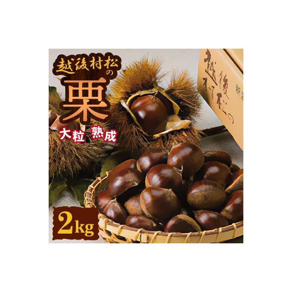 <12月上旬発送>越後村松の栗2kg