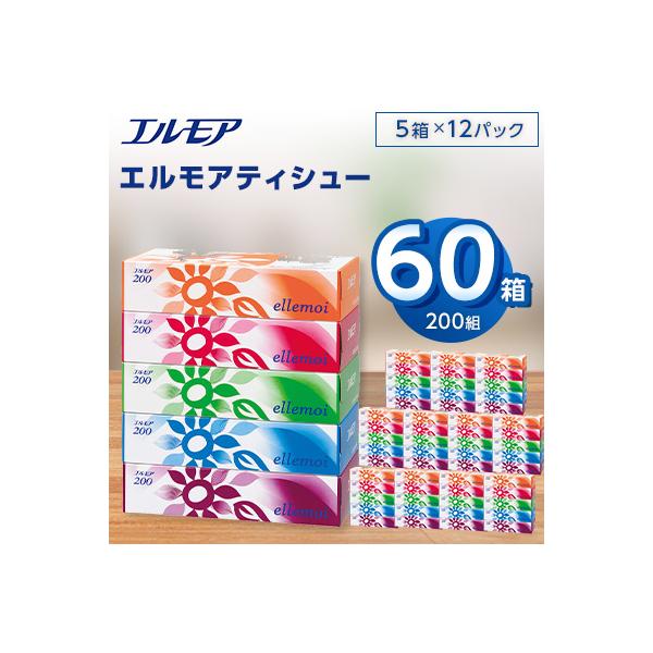 ふるさと納税 佐野市 エルモアティシュー200組5箱×12パック(60箱)【離島・沖縄県不可】