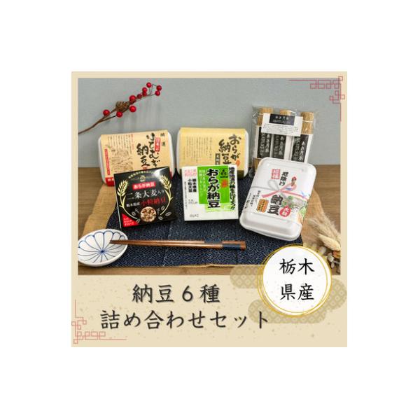 栃木県産納豆6種詰め合わせセット