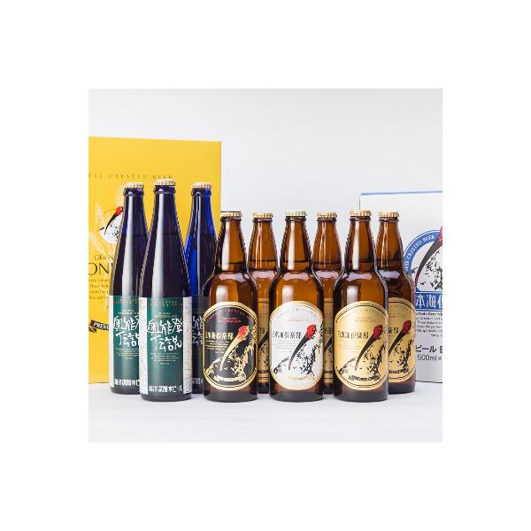 奥能登ビール 3種 500ml 6本、奥能登伝説500ml 3本 セット