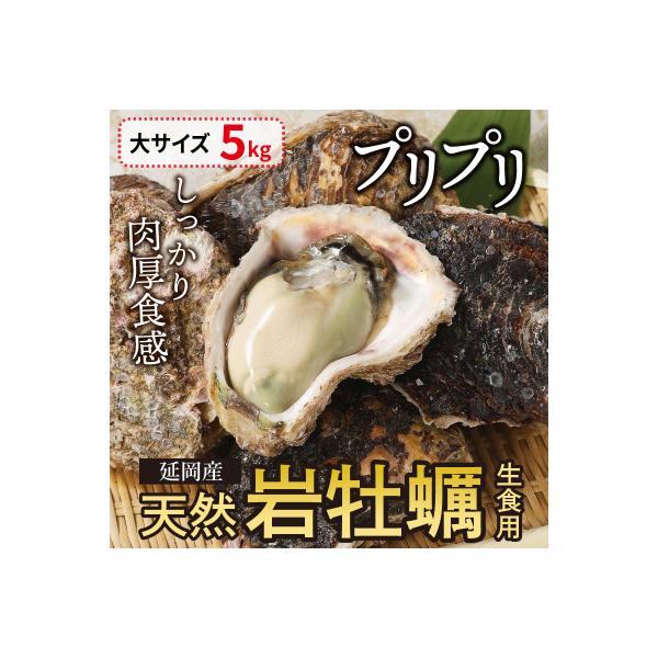 延岡産天然岩牡蠣(生食用)5kg(大)