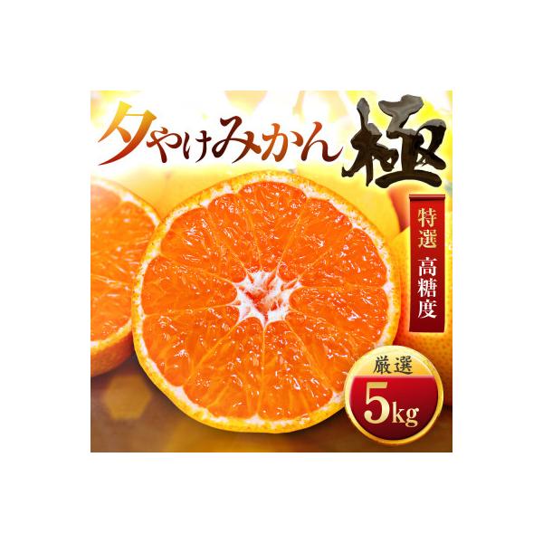 【迷ったらこれ!】甘みが濃縮　夕やけみかん【極】5kg　愛媛県産【D49-8】