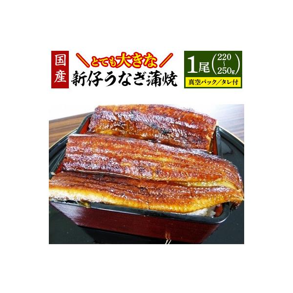 皮まで柔らか、とても大きな国産新仔うなぎ蒲焼(220～250グラム)1尾