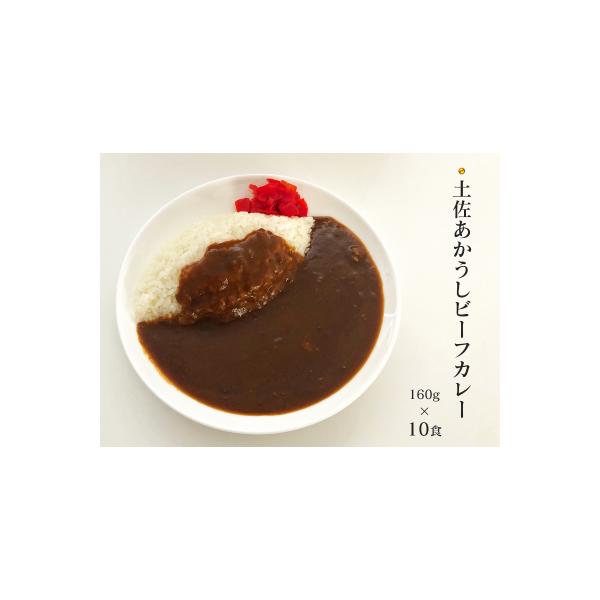 高知土佐あかうしビーフカレー　10食セット【AF053】
