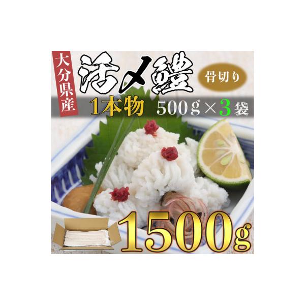 大分県産活じめ鱧(はも)1本物 骨切り切身 たっぷり 1500g