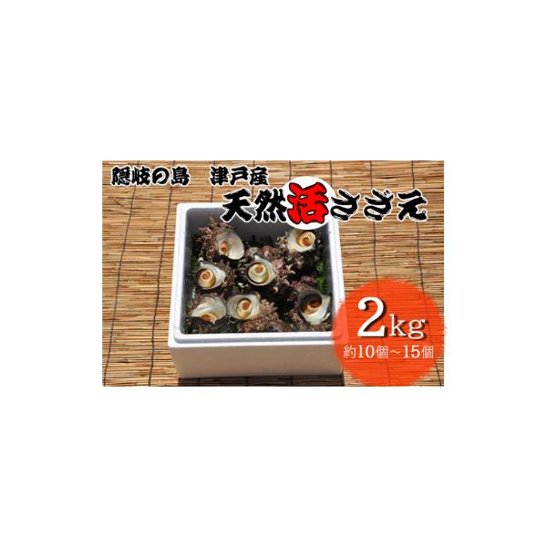 隠岐の島津戸産天然活さざえ2kg　1401