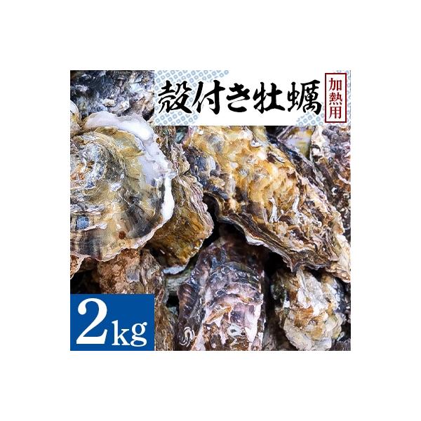 ふるさと納税 さぬき市 殻付き牡蠣2kg/加熱用 :1245786:さとふる - 通販 - Yahoo!ショッピング ふるさと納税 さぬき市 殻付き牡蠣2kg/加熱用 :1245786:さとふる - 通販 - Yahoo!ショッピング
