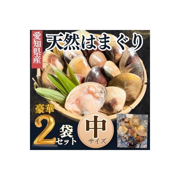 【愛知県産】天然 はまぐり 中サイズ 殻付きボイル冷凍 500g×2袋〈加熱調理・真空パック〉蛤