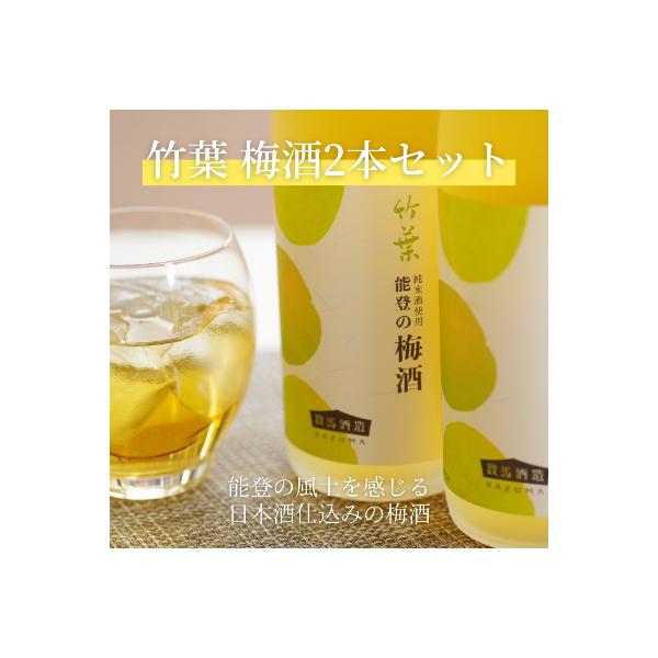 甘酸っぱい能登産の梅をふんだんに純米酒に漬け込んだ「竹葉能登の梅酒720ml×2本」