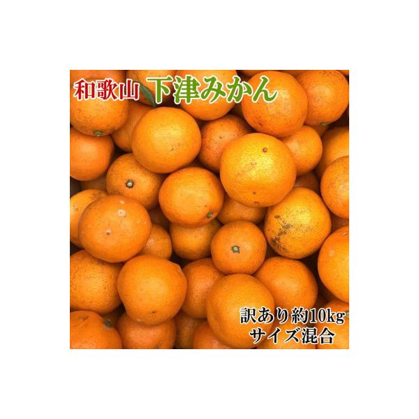 【訳あり】和歌山下津みかん約10kgご家庭用向け(サイズ混合) (那智勝浦町)
