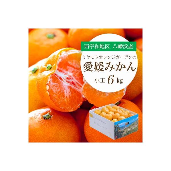 小さいみかんを厳選!愛媛みかん 小玉6kg【訳あり】【C25-48】