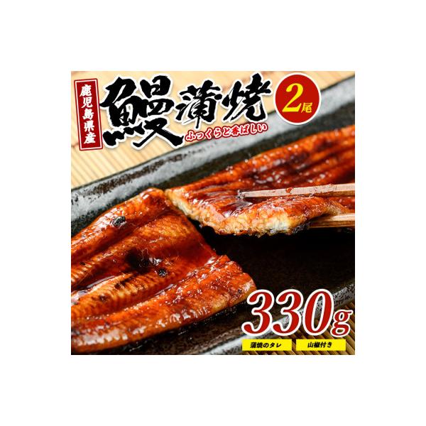 鹿児島県産 鰻の蒲焼(無頭背開き)約165g×2尾 IB022-001