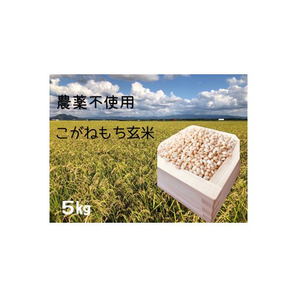 ふるさと納税 大潟村 【令和5年産】もち米 玄米5kg (栽培期間中 農薬不