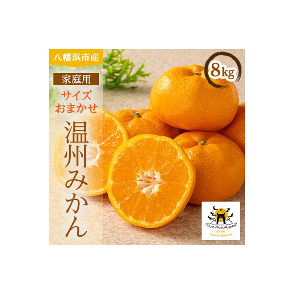 柑橘の鬼たちがつくる八幡浜産・温州みかん8kg[家庭用]【C56-17】