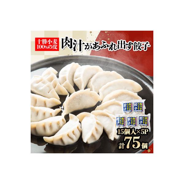 十勝餃子手房にしかわの肉汁があふれ出す餃子セット　15個入×5パック